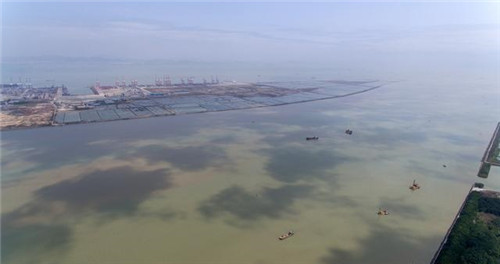 航拍廣州最大的濕地公園——南沙濕地公園