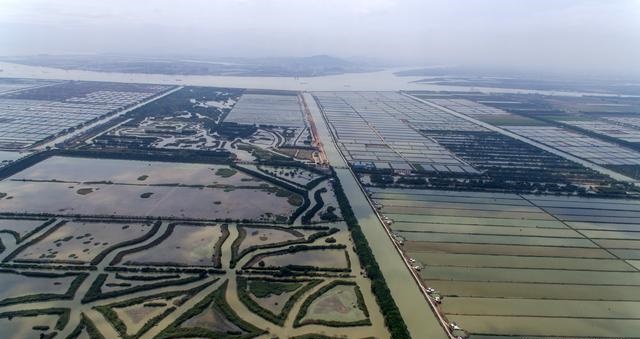 航拍廣州最大的濕地公園——南沙濕地公園
