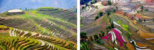 法國SFA建筑師協會主席在園冶高峰論壇演講