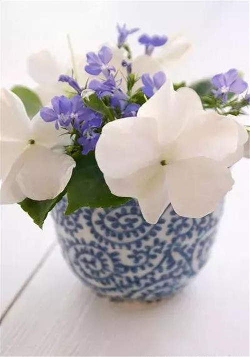 插花搭配的八大要點(diǎn)