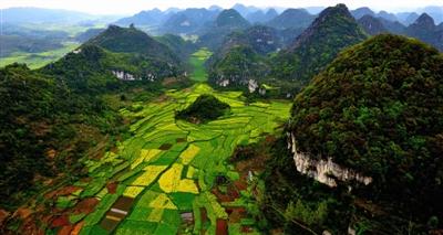 城市規劃要向“步行”回歸