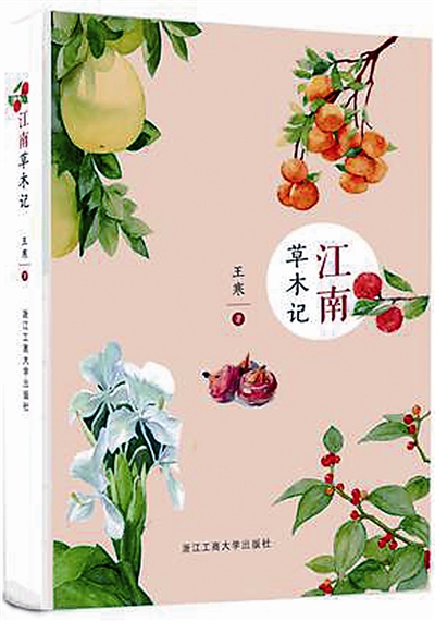 書評:江南草木 淺淺相遇