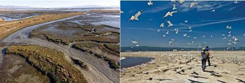 郭瓊瑩:宜居城市的戰略規劃——都市保護區系統之建置