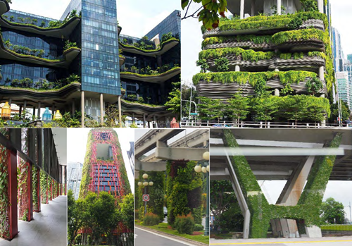 郭瓊瑩:宜居城市的戰略規劃——都市保護區系統之建置