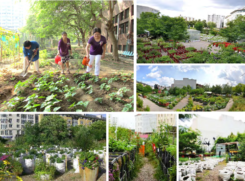 郭瓊瑩:宜居城市的戰略規劃——都市保護區系統之建置