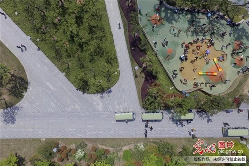 江蘇揚州古運河畔“長”出生態公園