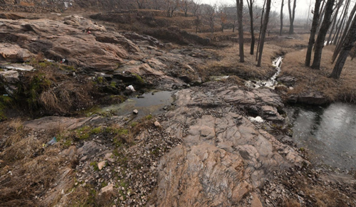 郗金標:應用型本科園林專業實踐教學模式探討