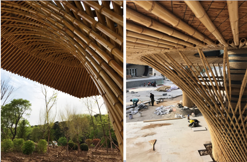 朱玲:一體化設計之景觀先行