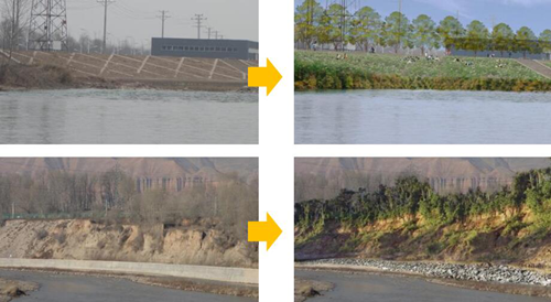 Marja、胡榮：具有地域特色的生態景觀規劃