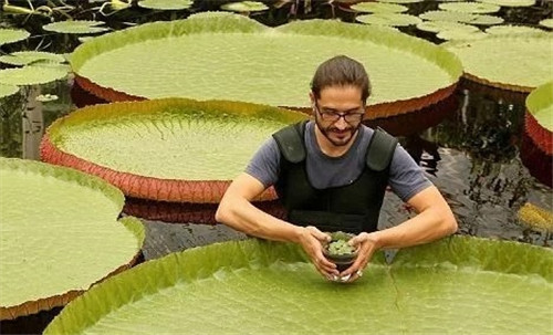 村民為了方便洗衣服差點沒絕了珍貴植物