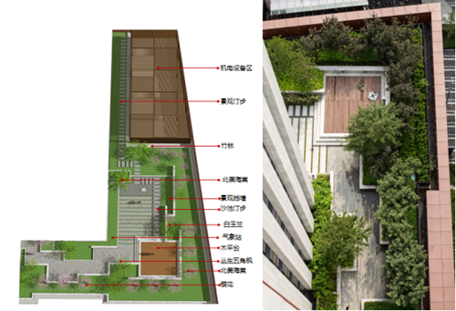 魏煒:構建城市生態系統中的空中綠島