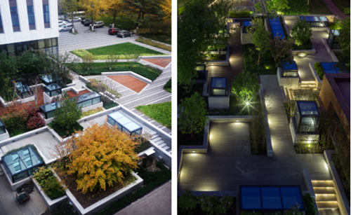 魏煒:構建城市生態系統中的空中綠島