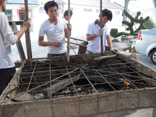 于運樂:立體綠化設計施工及應用展望