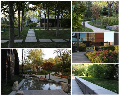 王達：從庭院到風景，重回中國造園的原點