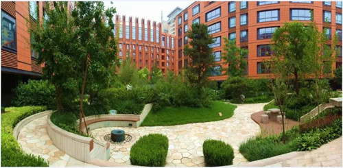 王達：從庭院到風景，重回中國造園的原點