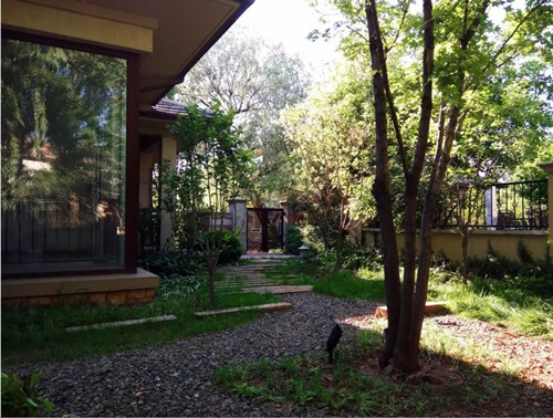 王達：從庭院到風景，重回中國造園的原點