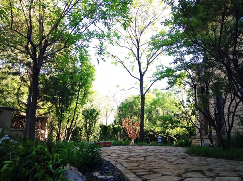 王達：從庭院到風景，重回中國造園的原點