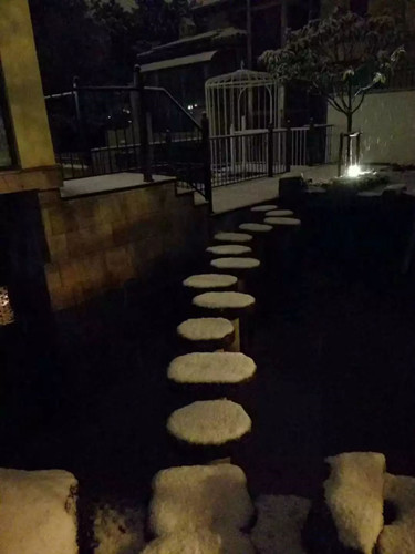 王達：從庭院到風景，重回中國造園的原點