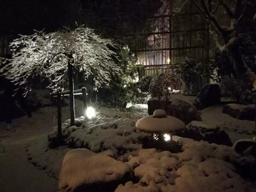 王達：從庭院到風景，重回中國造園的原點