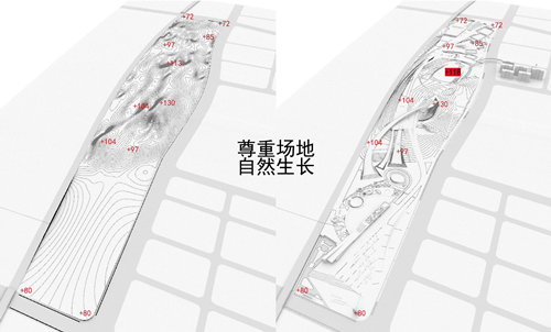 夏源:營造復合型體育文化公園
