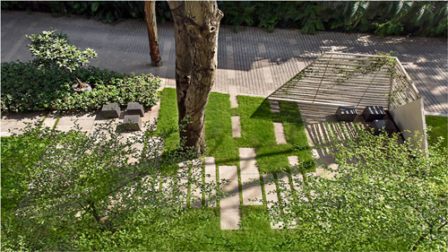 Viraj Chatterjee:宜居景觀——一個畫與詩的合集