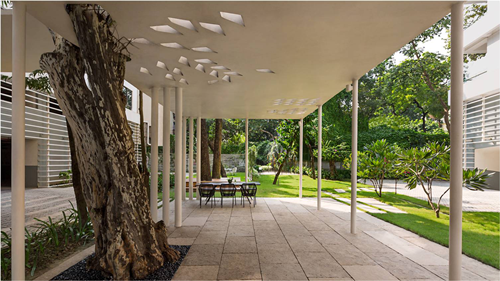 Viraj Chatterjee:宜居景觀——一個畫與詩的合集