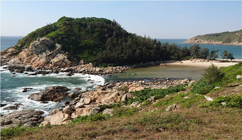 Viraj Chatterjee:宜居景觀——一個畫與詩的合集