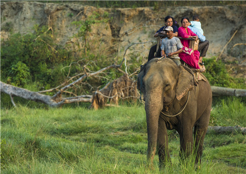 尼泊爾最奇特的地方,奇特旺國(guó)家公園
