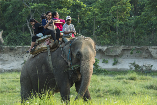 尼泊爾最奇特的地方,奇特旺國(guó)家公園