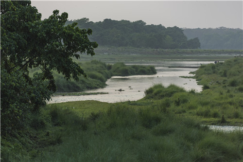 尼泊爾最奇特的地方,奇特旺國(guó)家公園