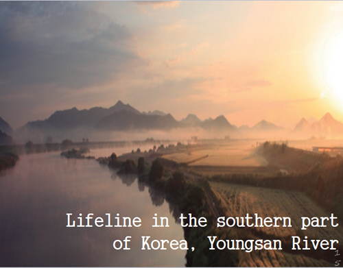 樸基淑:都市河川的生態修復