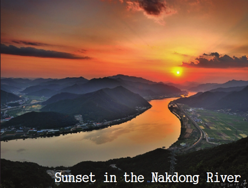 樸基淑:都市河川的生態修復