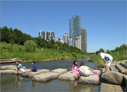 樸基淑:都市河川的生態修復