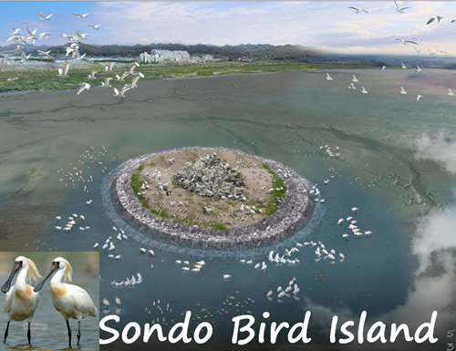 樸基淑:都市河川的生態修復