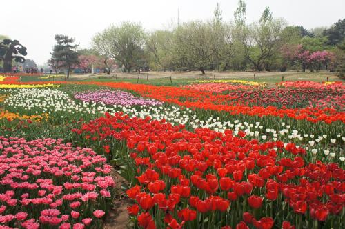 中國(guó)風(fēng)景園林學(xué)科開拓者孫筱祥先生逝世
