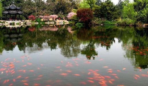 中國(guó)風(fēng)景園林學(xué)科開拓者孫筱祥先生逝世