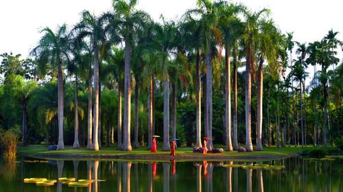中國(guó)風(fēng)景園林學(xué)科開拓者孫筱祥先生逝世
