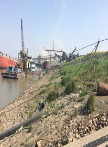 楊念東:武昌魚的回家之路