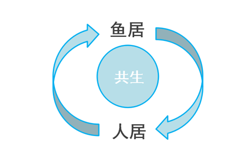 楊念東:武昌魚的回家之路