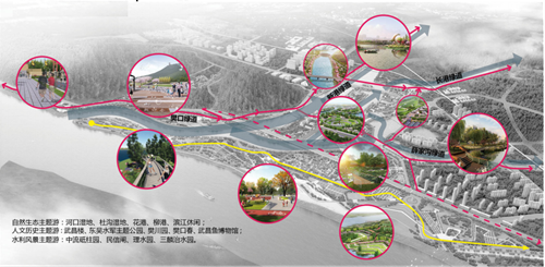 楊念東:武昌魚的回家之路