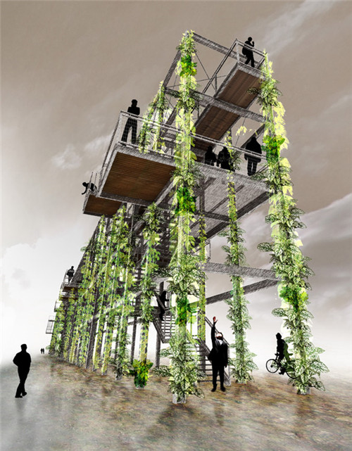 奧克蘭海濱工業區北碼頭長廊濱水景觀的改造