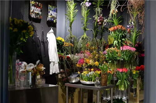 日本人對于瀕危植物的關(guān)注度遠(yuǎn)高于櫻花