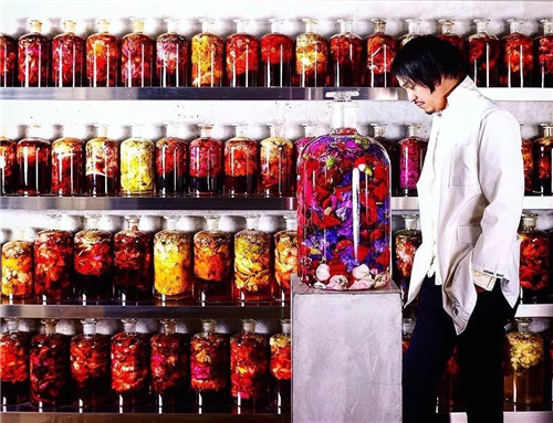 日本人對于瀕危植物的關(guān)注度遠(yuǎn)高于櫻花