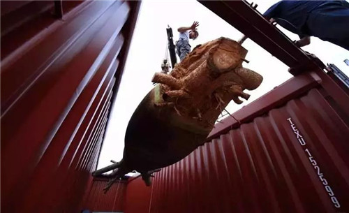 日本人對于瀕危植物的關(guān)注度遠(yuǎn)高于櫻花