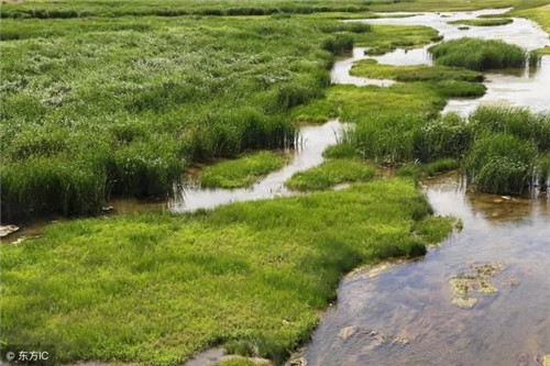 精準扶貧背景下自然保護區(qū)發(fā)展路徑構建