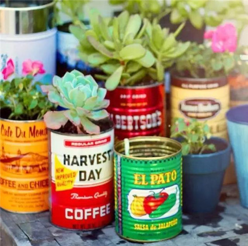 誰說養(yǎng)花插花一定得用花瓶？