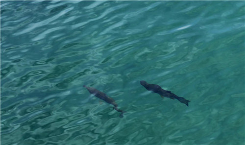 “十六湖國(guó)家公園”撫慰人內(nèi)心的是純粹自然