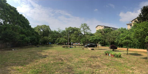 周晨:聯結——面向生態文明的風景園林教育實踐