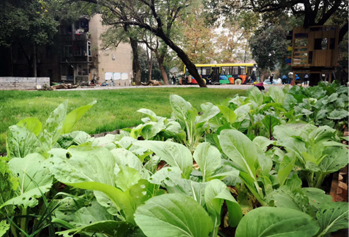 周晨:聯結——面向生態文明的風景園林教育實踐