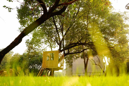 周晨:聯結——面向生態文明的風景園林教育實踐